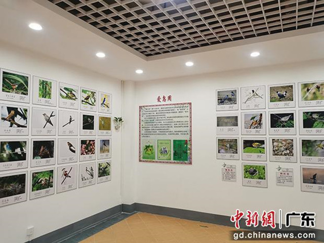 樂昌首家野生鳥類展覽館開放，設(shè)計(jì)建筑面積約170多平米